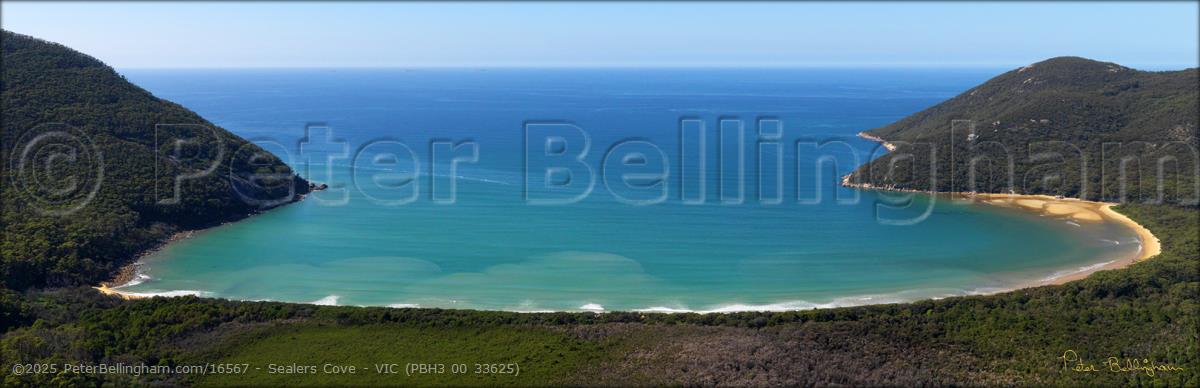 Peter Bellingham Photography Sealers Cove - VIC (PBH3 00 33625)